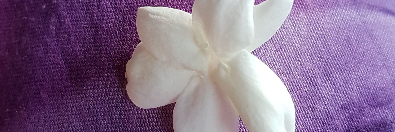 yi_ayi's profile banner image