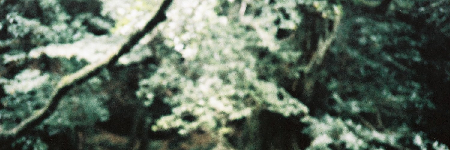 surumeiko's profile banner image