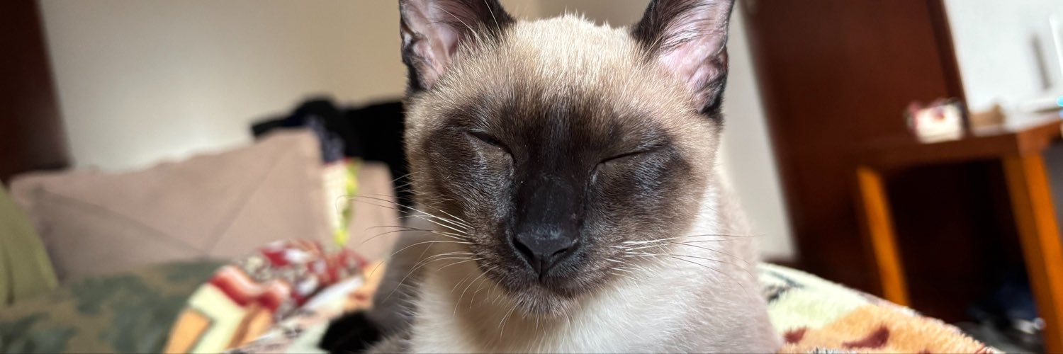 xulinhax's profile banner image