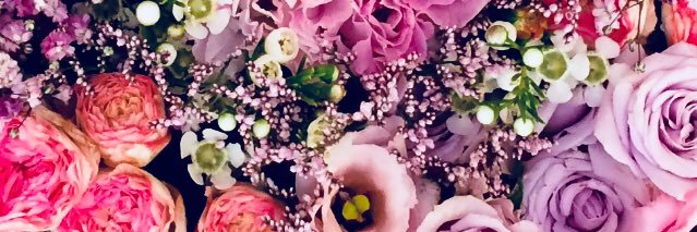_jenpaxton's profile banner image