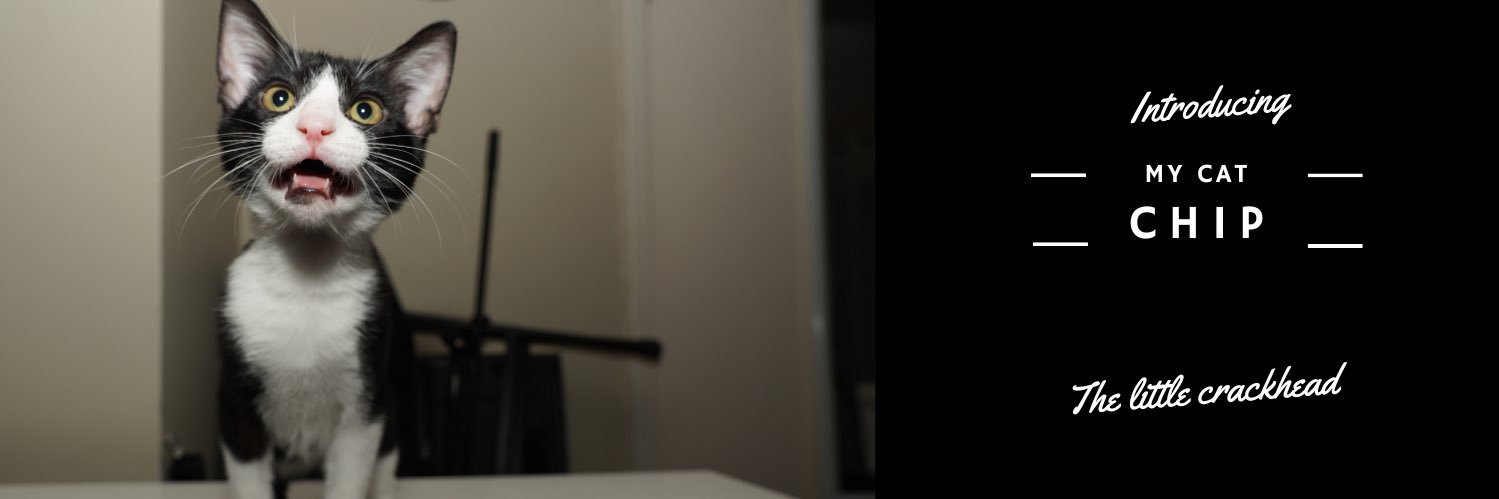FernRSanchez's profile banner image