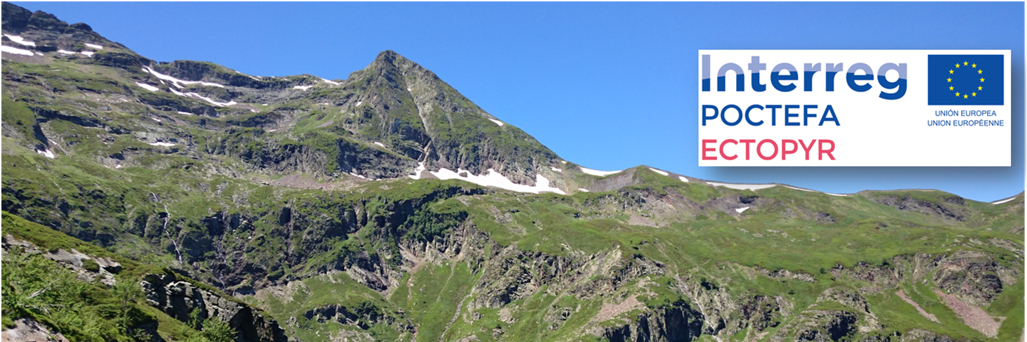 POCTEFA ECTOPYR banner