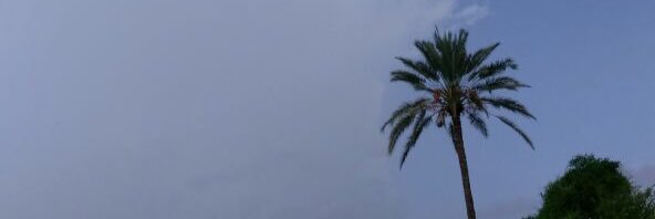 alqomishy's profile banner image