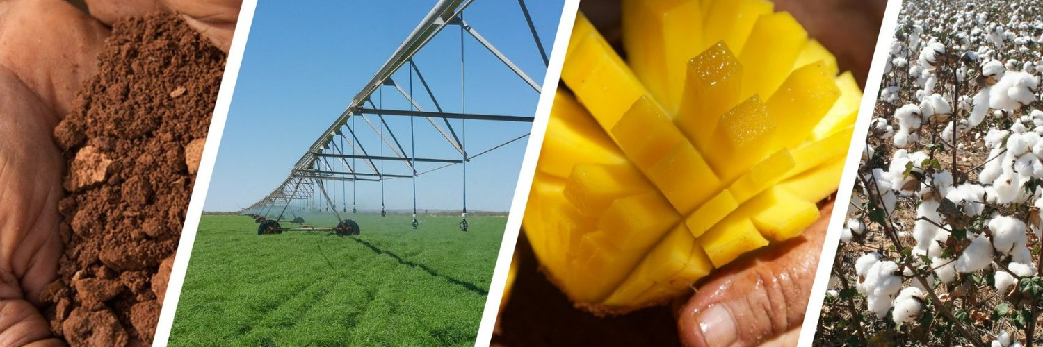 NTFarmers's profile banner image