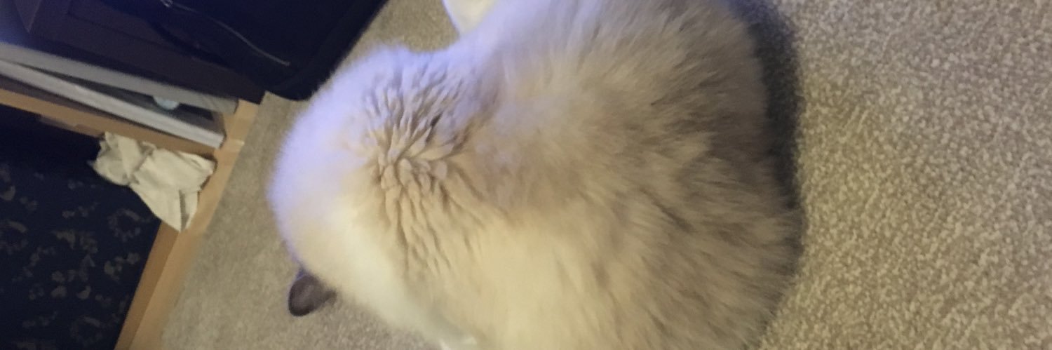 NicolFlugel's profile banner image