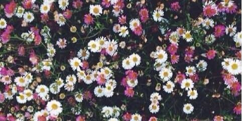 SH_H5's profile banner image