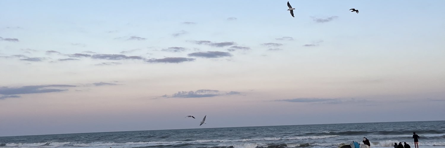 conipugliese's profile banner image