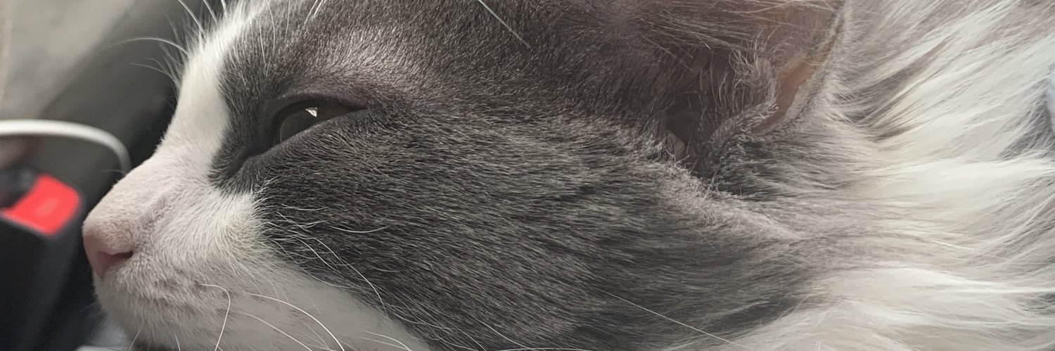 PastelandPlaid's profile banner image