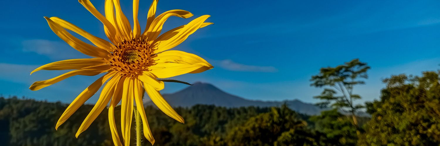 uccmtda's profile banner image