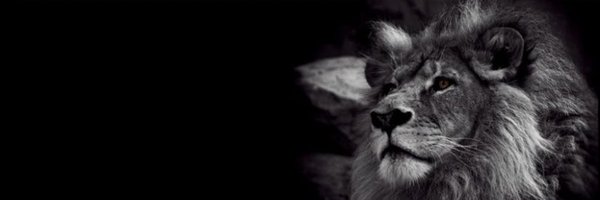 ShadonShannon1 Profile Banner
