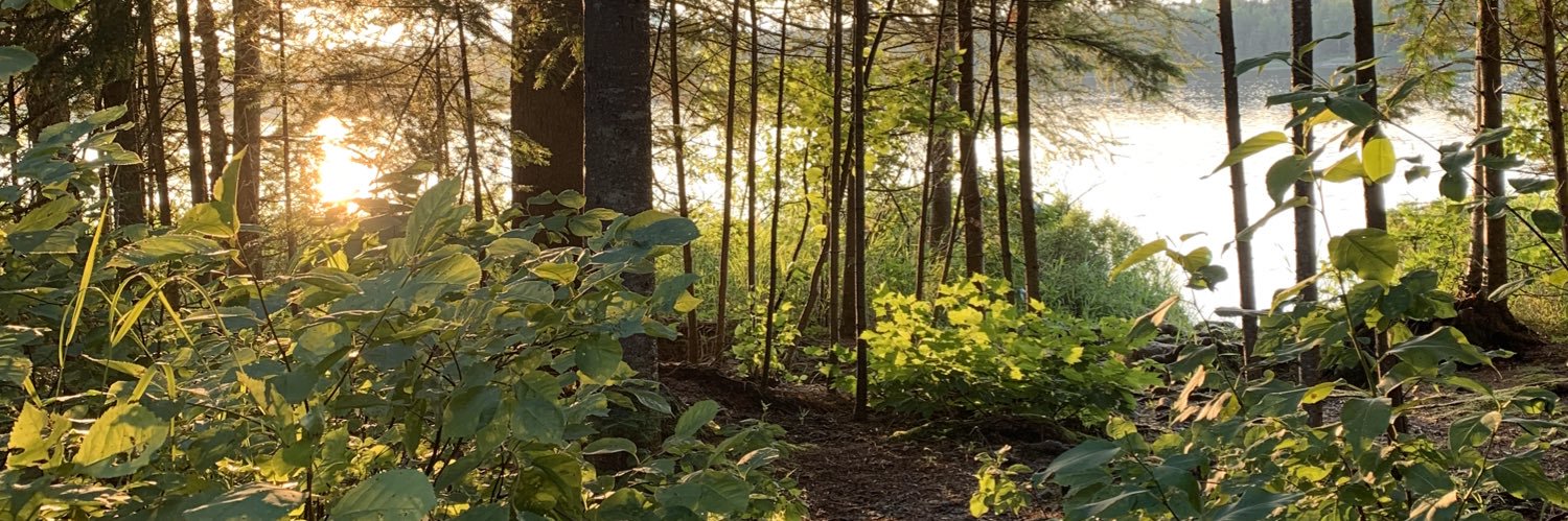 V_EAnderson's profile banner image