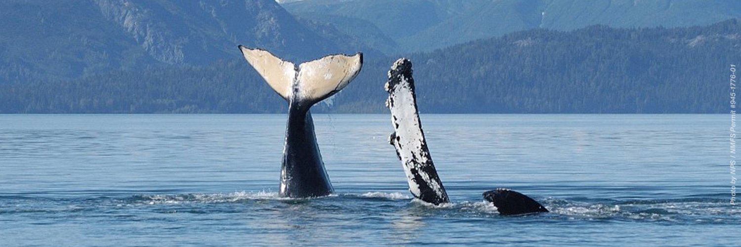 Endangered Species Research's banner