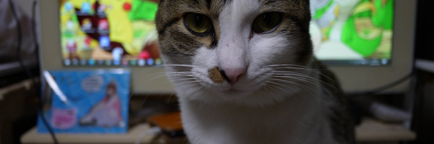 chiyairo_chiyan's profile banner image
