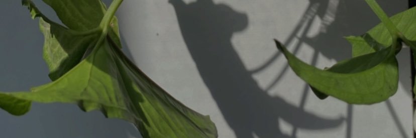 zarifden's profile banner image