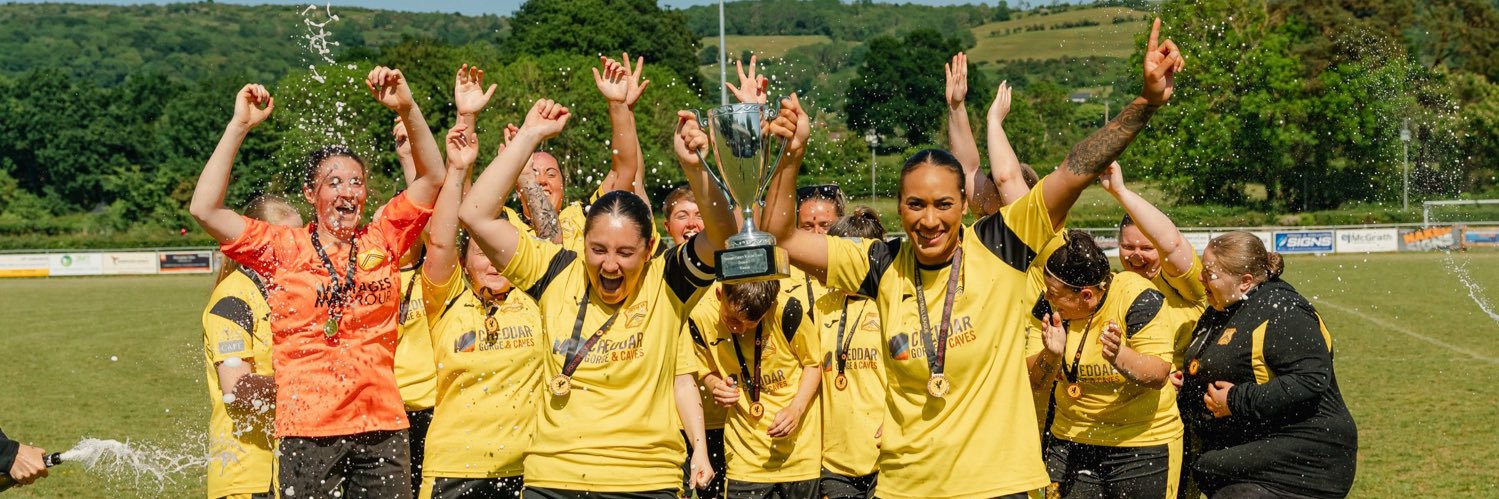Cheddar Ladies FC banner