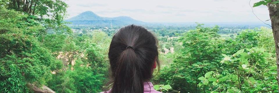 pao.pao banner