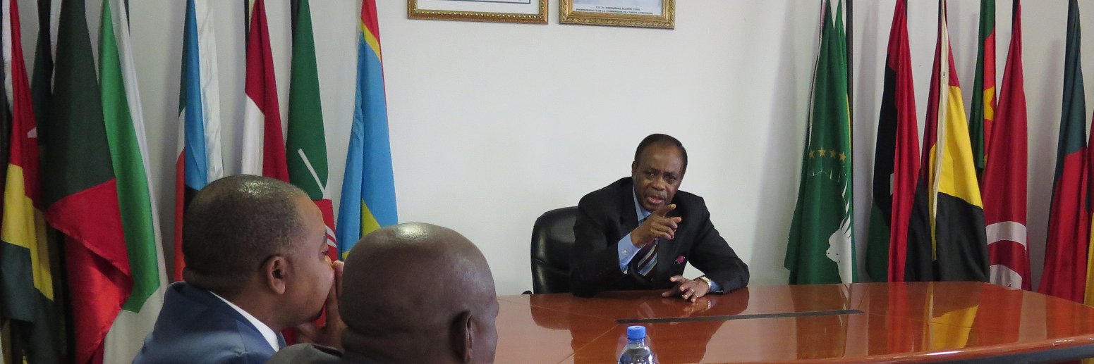 Edem Kodjo banner