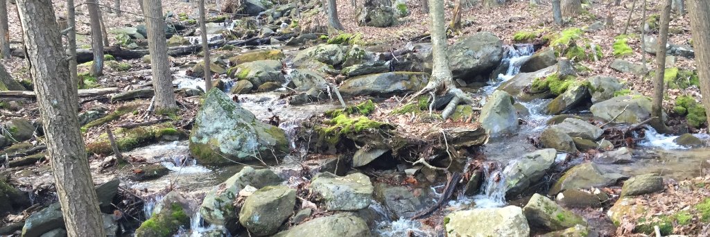 Pride Outside banner