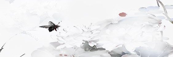 Sylus. banner