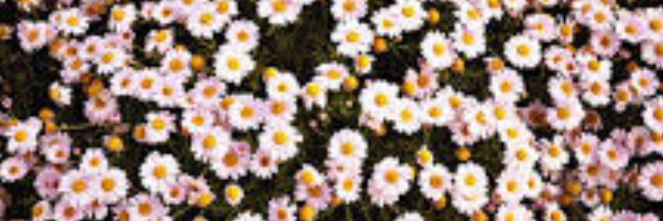 jude law 💕💓😍 banner