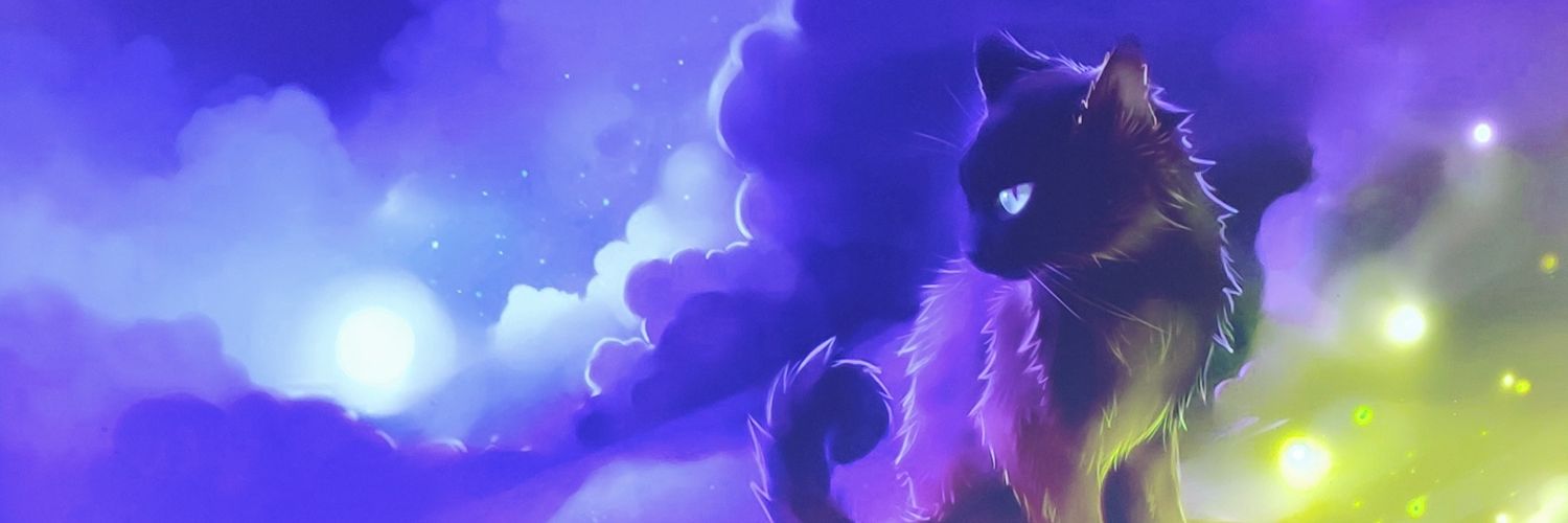 RagingSteel_'s profile banner image