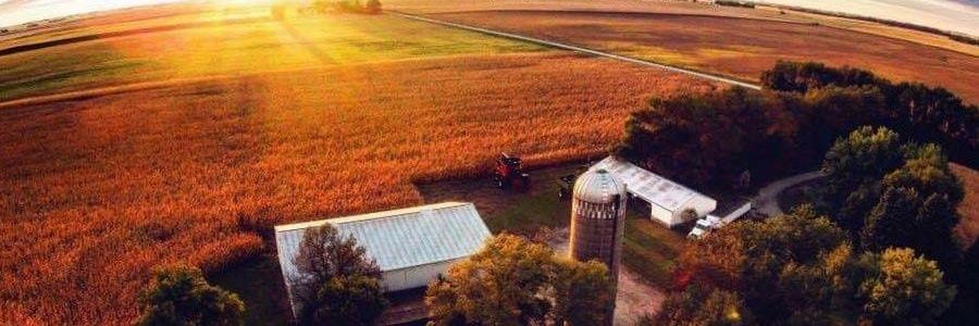 Bryanna Walton banner