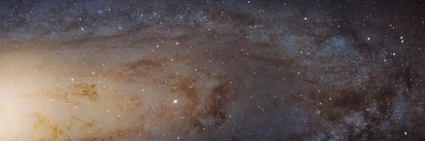 arianaa_33's profile banner image
