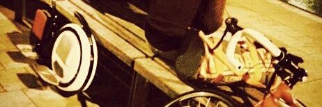 almssafr9's profile banner image