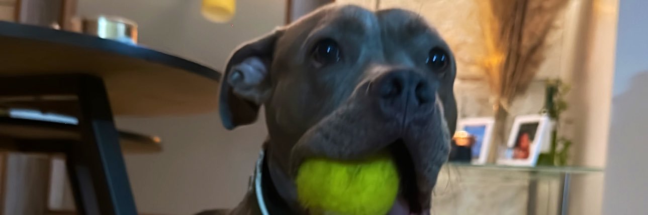 iFrancoRC's profile banner image
