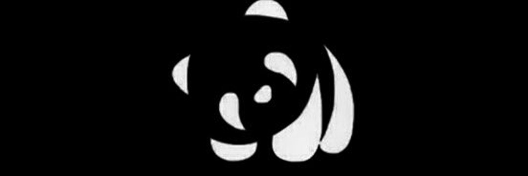 GuaroPanda's profile banner image