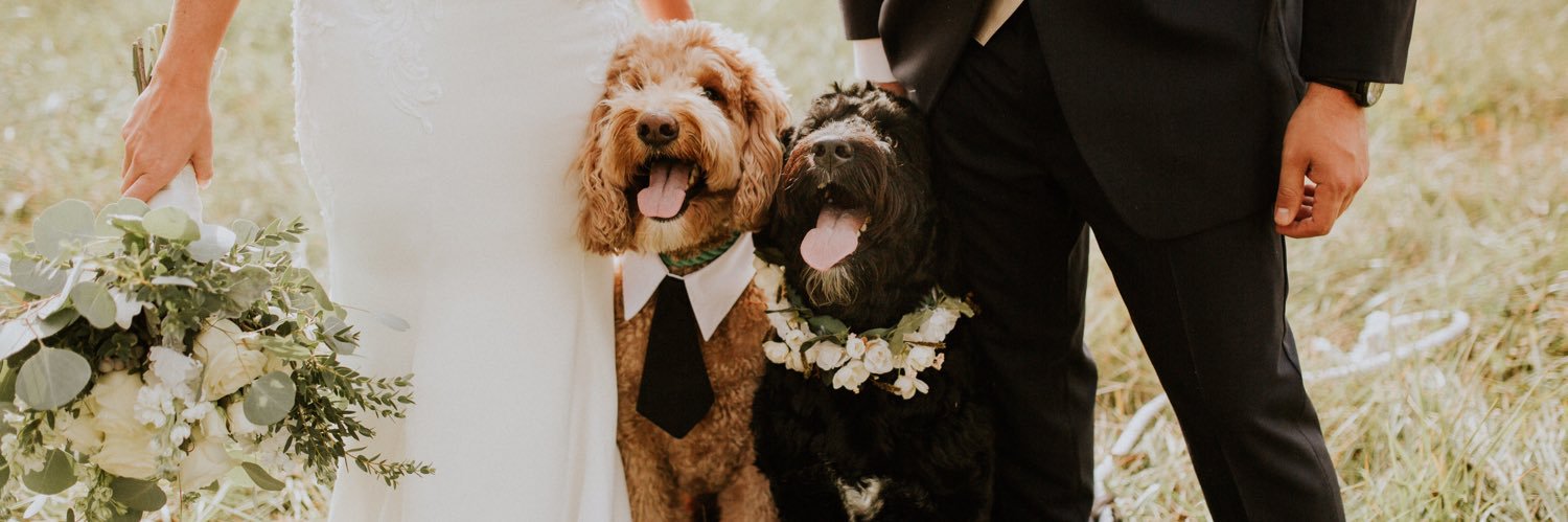 emilyswig's profile banner image
