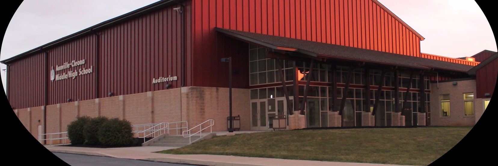 Krista M. Antonis banner