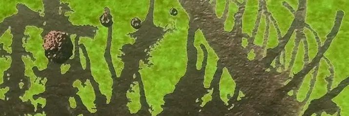 FlyDsaur's profile banner image
