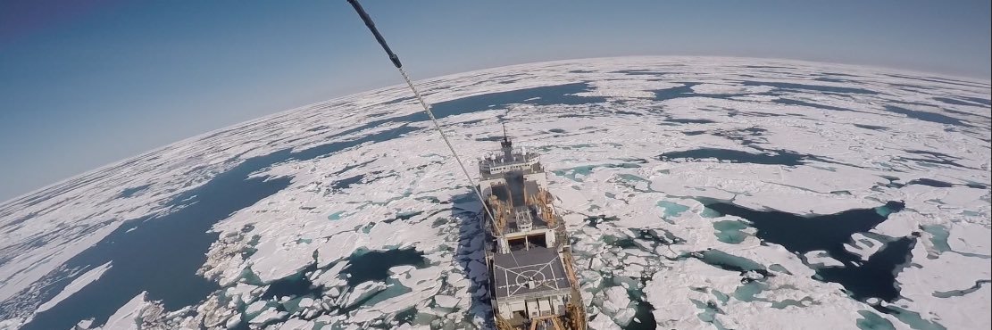 Ana Visneski (she/her) banner