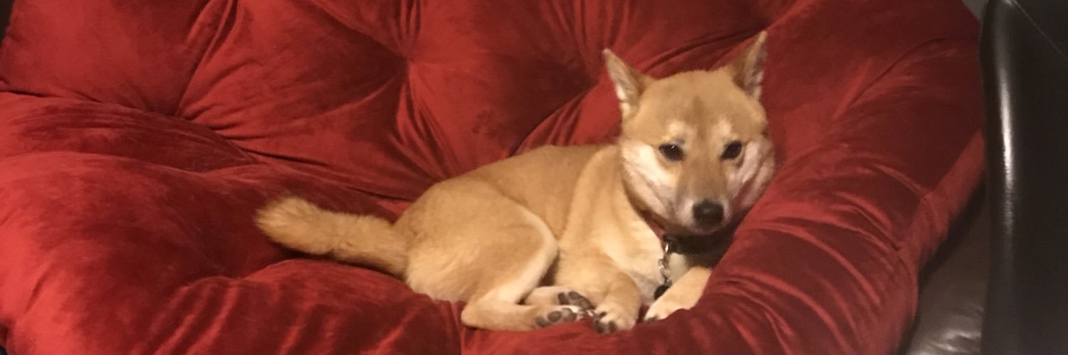Ericudda's profile banner image