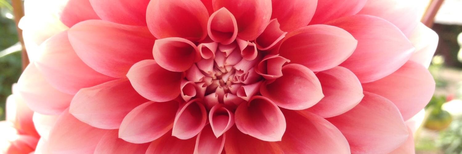 getbergamot's profile banner image