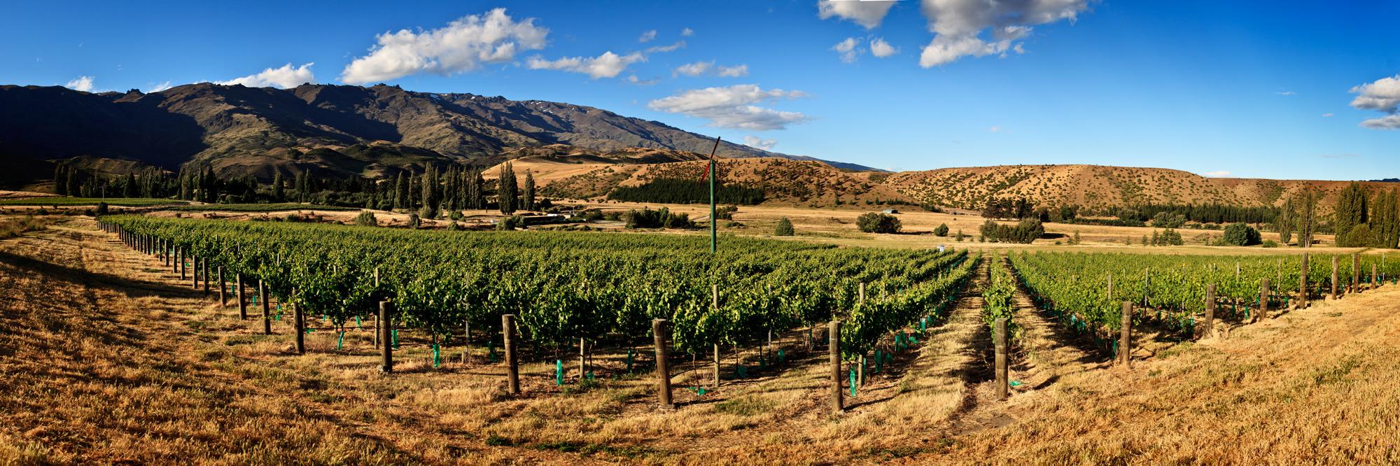 Lowburn Ferry Wines banner