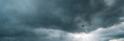 zeeez686's profile banner image