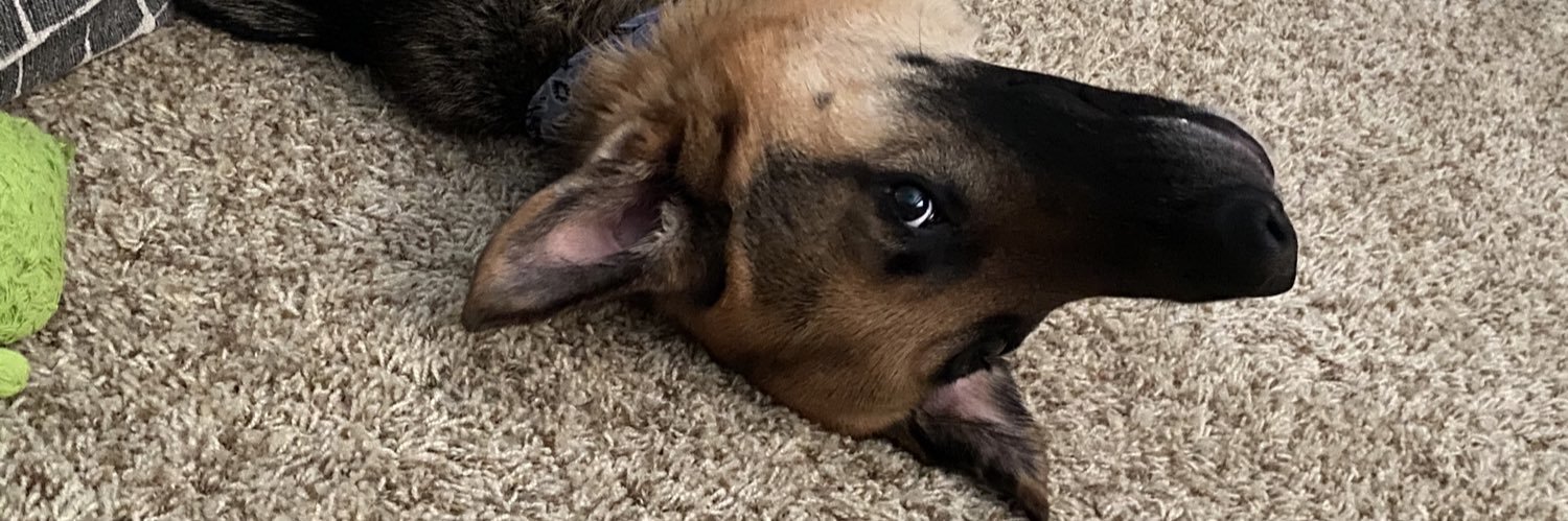 JackquelynLuvsU's profile banner image