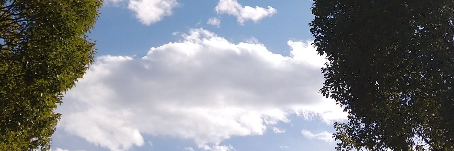 2073itty's profile banner image