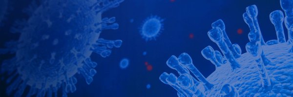 ISID_org Profile Banner