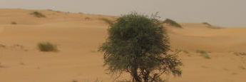 HamadaJ's profile banner image