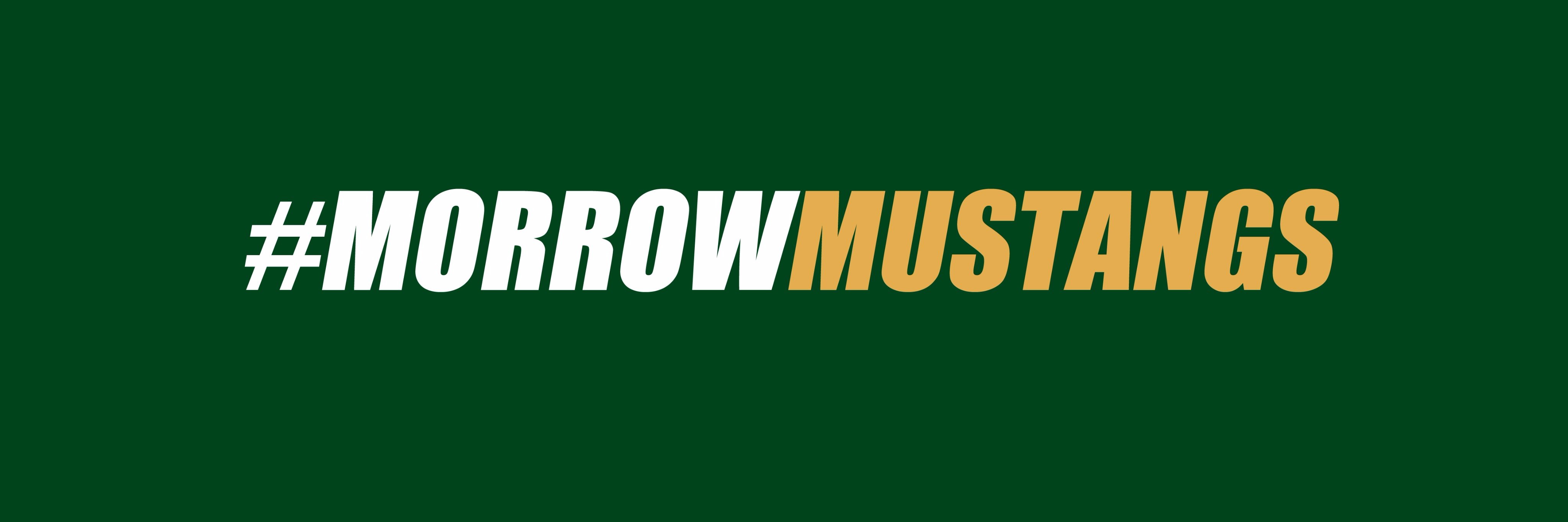 Morrow Athletics banner