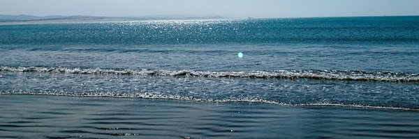 AnnaNavarroB Profile Banner