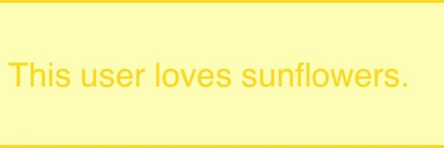 sunnyorangeth's profile banner image
