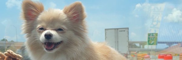 jlopmo21 Profile Banner
