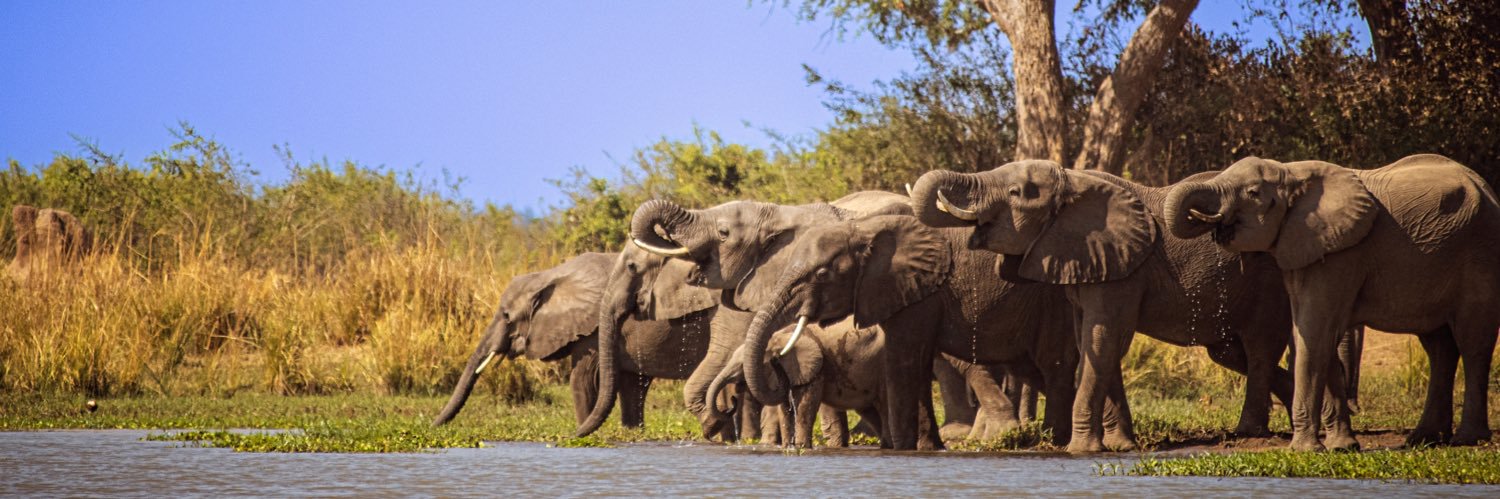 Simba Mhuriro 🇿🇼 banner