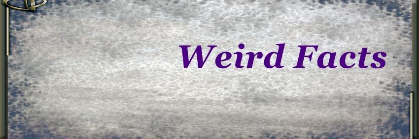 factsweird1's profile banner image