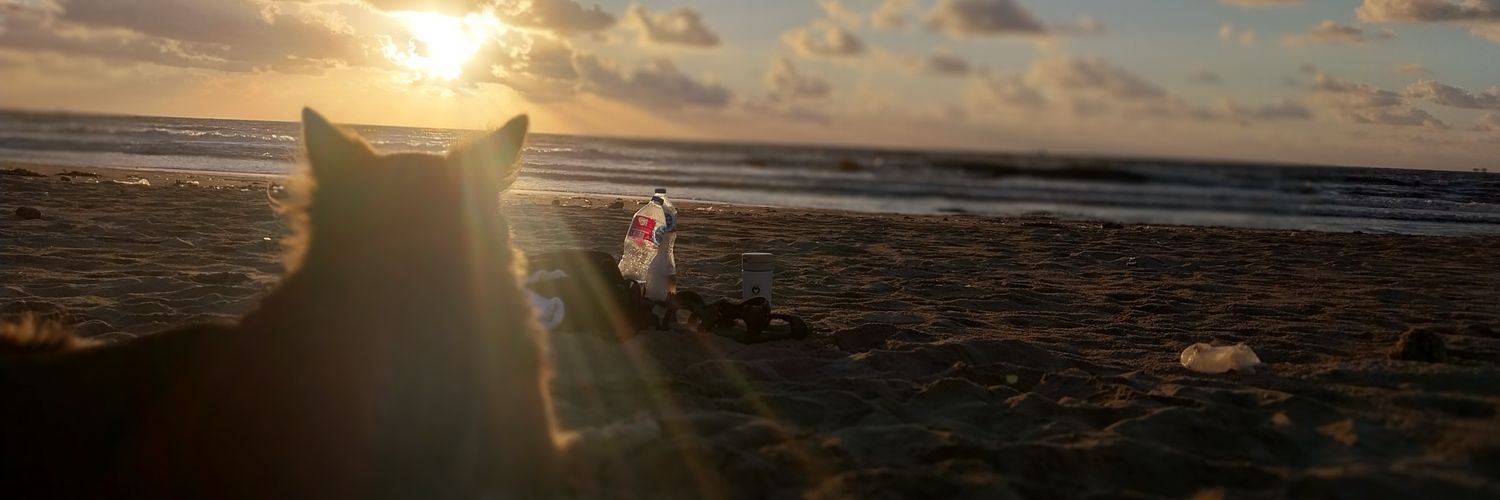 Mohamed Nomeir Ⓜ⚖️🏥🏗️🏢🏭🏯🕌🌏 banner