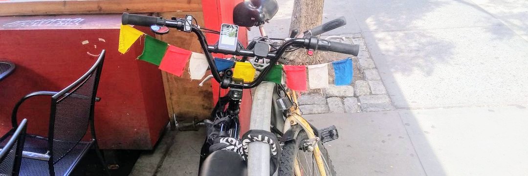 van lilith bush banner